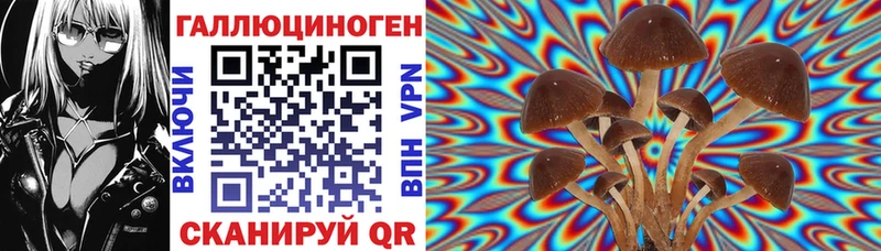 что такое   hydra ссылка  Галлюциногенные грибы мицелий  Приозерск 